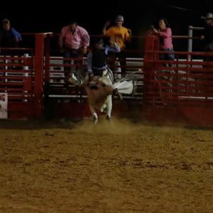 Meet your Posher, Wyatt